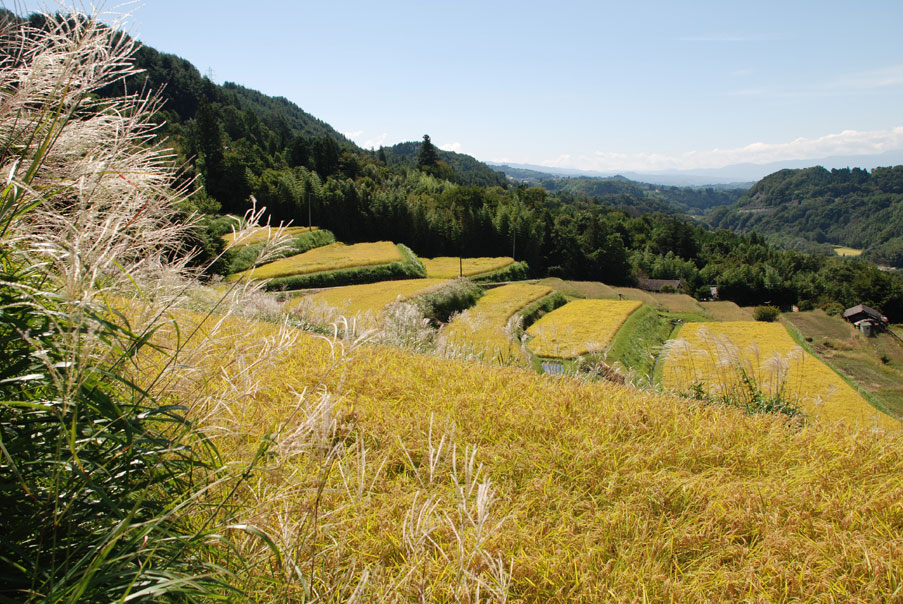 中川村の写真集