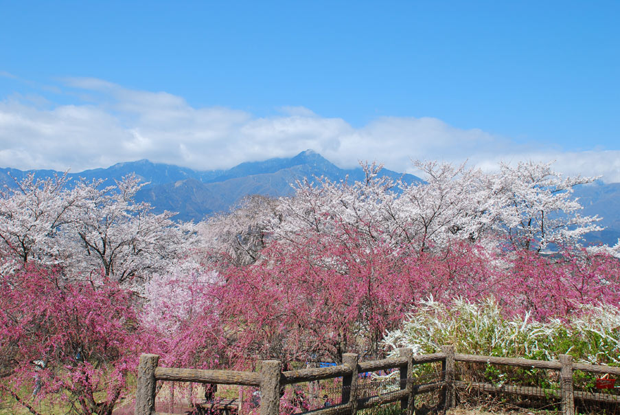 中川村の写真集
